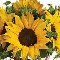 3. Sunny Sunflowers · Whoever receives this stunning bouquet is sure to be bowled over by its bold beauty! It's bi...