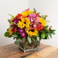 Celebration Arrangement In A Vase · This vibrant arrangement adds a celebratory feel to all events and festivities!

-- Picture ...