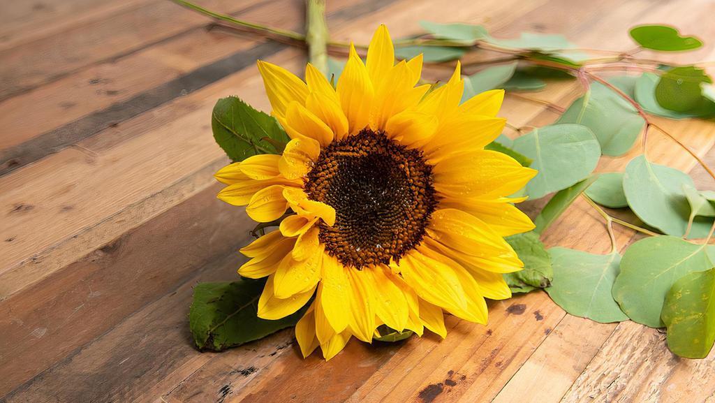 Sunflower · Seasonal options may vary throughout the year and depending on location. Our florist will provide the best available flowers for your order!