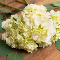Hydrangea · Seasonal options may vary throughout the year and depending on location. Our florist will pr...