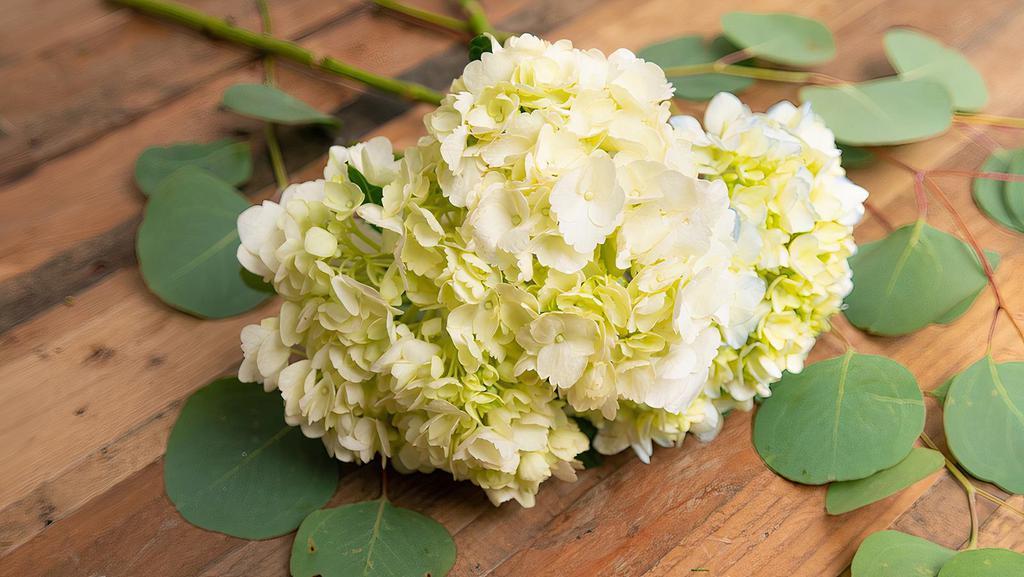 Hydrangea · Seasonal options may vary throughout the year and depending on location. Our florist will provide the best available flowers for your order!