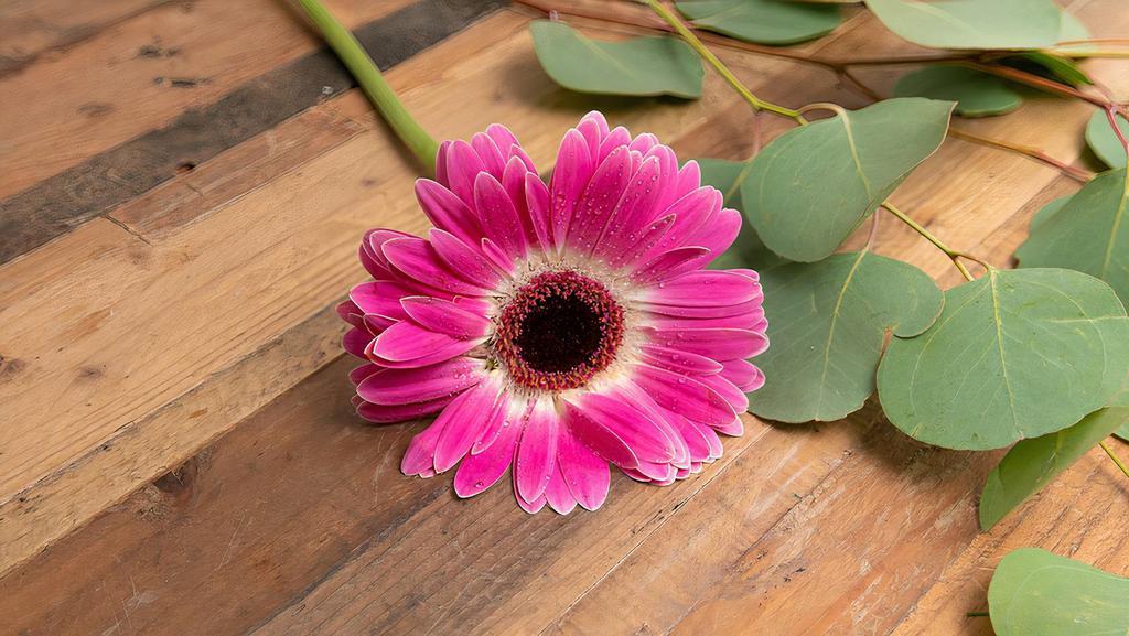 Gerbera Daisy · Seasonal options may vary throughout the year and depending on location. Our florist will provide the best available flowers for your order!