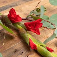 Gladiolus · Seasonal options may vary throughout the year and depending on location. Our florist will pr...