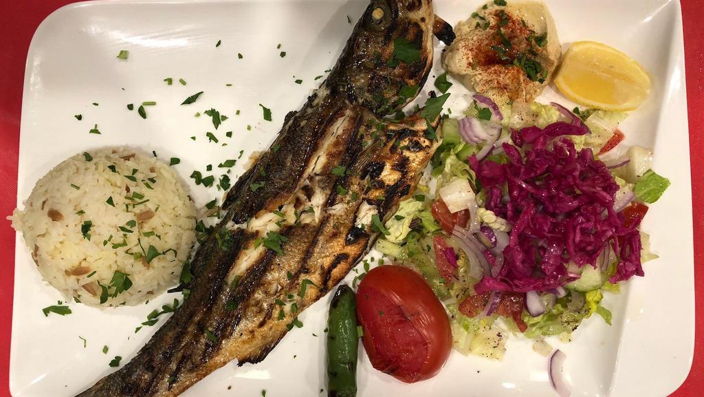 Grilled SeaBass(Branzino) Fish Plate · One Branzino(Eurpoean Seabass) fish grilled and comes with rice,hummu and salad.