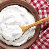 Yoghurt (Plain) · 16 oz