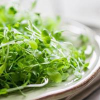 Sprouts Salad · Fresh local microgreens, olive oil, a squeeze of lemon, toasted pumpkin seeds and avocado. A...