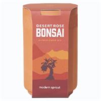 Terracotta Kit - Desert Rose · Channel the Southwest with these desert inspired self-watering grow kits. Features a terraco...