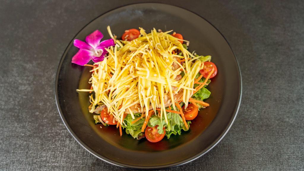 Mango Salmon Salad · Grilled Salmon accompanied by roasted coconut flake, carrot, tomato, and shredded mango tossed in sweet lemon dressing, served on a bed of lettuce.   Please note: This dish is gluten-free.