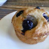Blueberry muffin · Fresh blueberry muffin