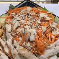 Sesame Ginger Chicken Salad · Organic romaine lettuce, cucumber, grated carrots, crispy shallots, toasted sesame, grilled ...