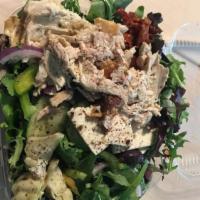 OPA DELUXE · Spring Mix, Arugula, Feta Cheese, Chicken, Tomatoes, Red Onions, Bell Peppers, Cucumbers, Ar...