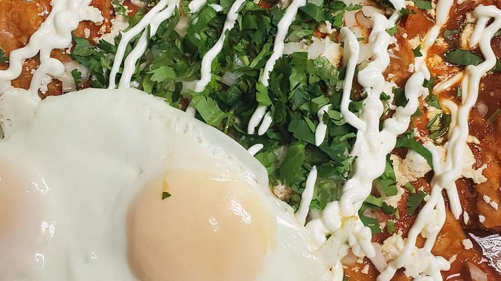 Chilaquiles Rojos · Tortilla drenched in spicy Red salsa, cilantro, sour cream, fresh cheese and two scrambled eggs.