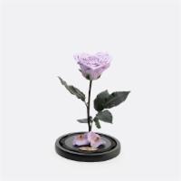 Heart Shaped Rose - Lilac · The classic love story comes to life inside this exquisite glass dome, which contains a sing...