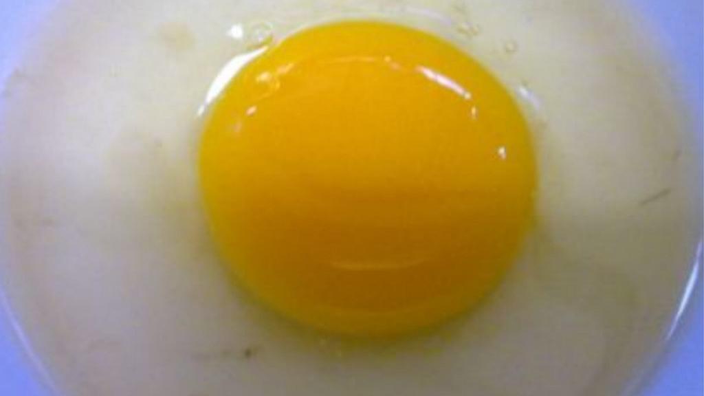 Egg · 