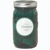 Cilantro - Garden Jar Kit · This year-round indoor planter comes equipped with everything you’ll need to start growing, ...