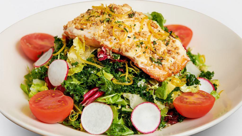 Almond-Crusted Salmon Salad · Pan Seared and Served Over Mixed Greens, Kale, Shaved Brussels Sprouts, Avocado, Tomato, Quinoa, Cranberries and Radishes. Tossed with Our Vinaigrette