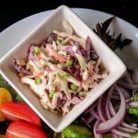 Cucumber salad · Tomatoes, cucumber, red onions with salad greens and coleslaw