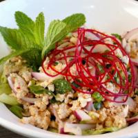 Larb Salad · Choice of minced chicken, beef or pork with onions, green onions, and mint toasted rice seas...