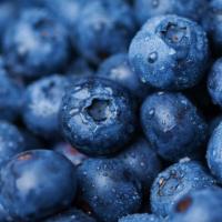BLUEBERRIES · 1 pint (2.25 cups)