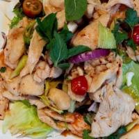 22 - CHICKEN SALAD · Tender chicken breast with green onion, roasted chili flakes, fresh cilantro, carrot, fresh ...