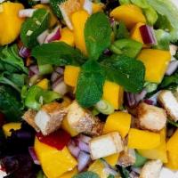 23 – MANGO SALAD · Mango mixed with green onion, fresh basil leaves, bell pepper, fresh lime juice, red onion, ...