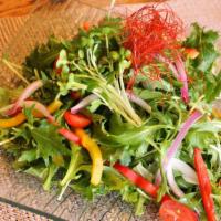 Yugen Salad · Mizuna green and assorted vegetables.