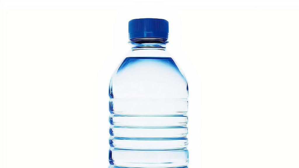 Water Bottle (16.9 oz.) · Ice cold water bottle.