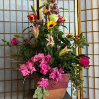 Half and Half · Senior florist speciality. Half potted plants, half fresh cut flowers. The potted flowers wi...
