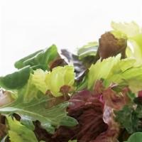 Salad · Spring mix and romaine (House Miso Mayo Dressing)