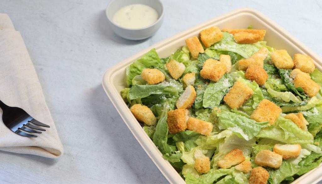 Regular Ceasar Salad · Fresh Romain Lettuce, Classic Ceasar Dressing