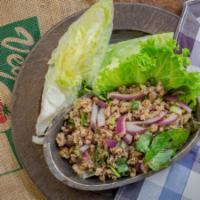 Larb · Choice of minced chicken, pork or tofu seasoned with shallots, mint leaves, lime, dried chil...