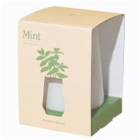 Mint Indoor Garden Kit · The Tapered Tumbler Collection is outfitted with a passive hydroponic system that includes a...
