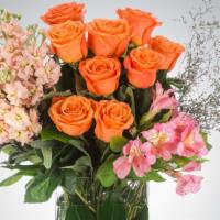 Tangerine Dream By BloomNation · Product Information
This trendy split arrangement has us peachy keen. A great gift to celebr...