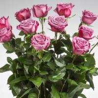 Dozen Long Stemmed Lavender Roses By BloomNation · Product Information
This arrangement is the perfect 