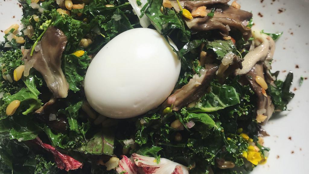 KALE AND MUSHROOM BOWL · A hearty salad of mixed kale, exotic mushrooms and kamut in a walnut vinaigrette. A soft boiled egg to top.