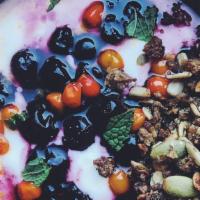 YOGURT BOWL · Housemade organic yogurt topped with seasonal fruit and our rye and oat granola.