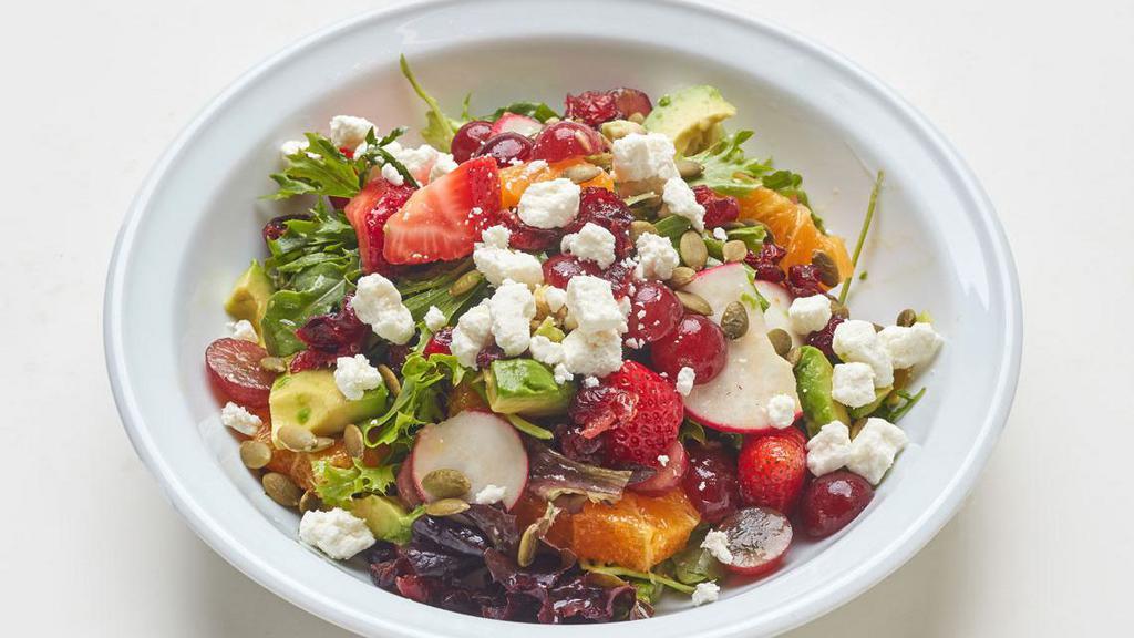 Mixed Greens Salad with Goat Cheese · With avocado, strawberries, oranges, grapes, dried cranberries, pepitas seeds and mustard-dill vinaigrette 
(Contains dairy) Vegetarian