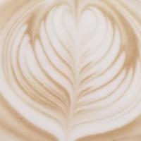 Caffe Mocha · Espresso blended with creamy, dark chocolate, steamed milk, and finished with heavy cream.