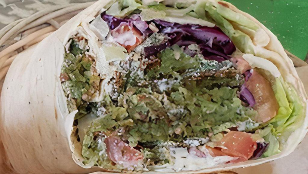 13. Falafel Wrap · All sandwiches and wraps include lettuce mediterranean salad pickles red onion red cabbage hummus tahini sauce hot sauce and come with a choice of fries or green salad.