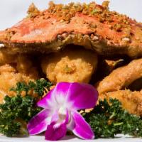 Dungeness Crab · Live dungeness crab with several options.