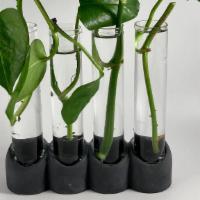 CONCRETE PROPAGATION STATION   · Propagate your houseplants! Does not include plant cuttings. Includes 4 glass tubes

Size: 5...