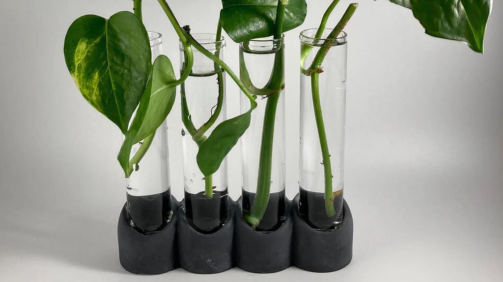 CONCRETE PROPAGATION STATION   · Propagate your houseplants! Does not include plant cuttings. Includes 4 glass tubes

Size: 5.4” x 1.5”

Handcrafted, small batch
Made in USA