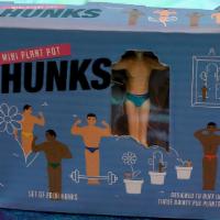 Mini Hunk Planters · Gifts, kitschy, stakes