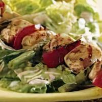 Chicken Kabob Salad · Fresh mixed organic greens, tomatoes and cucumber, topped with our marinated chicken breast ...