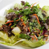Nam Tok Salad · Choice of pork or beef. Grilled with mint leaves, onions, cilantro, roasted rice powder, and...