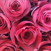 Two Dozen Roses · Two dozen roses (Your color choice) will be designed in a keepsake vases and seasonal filler...