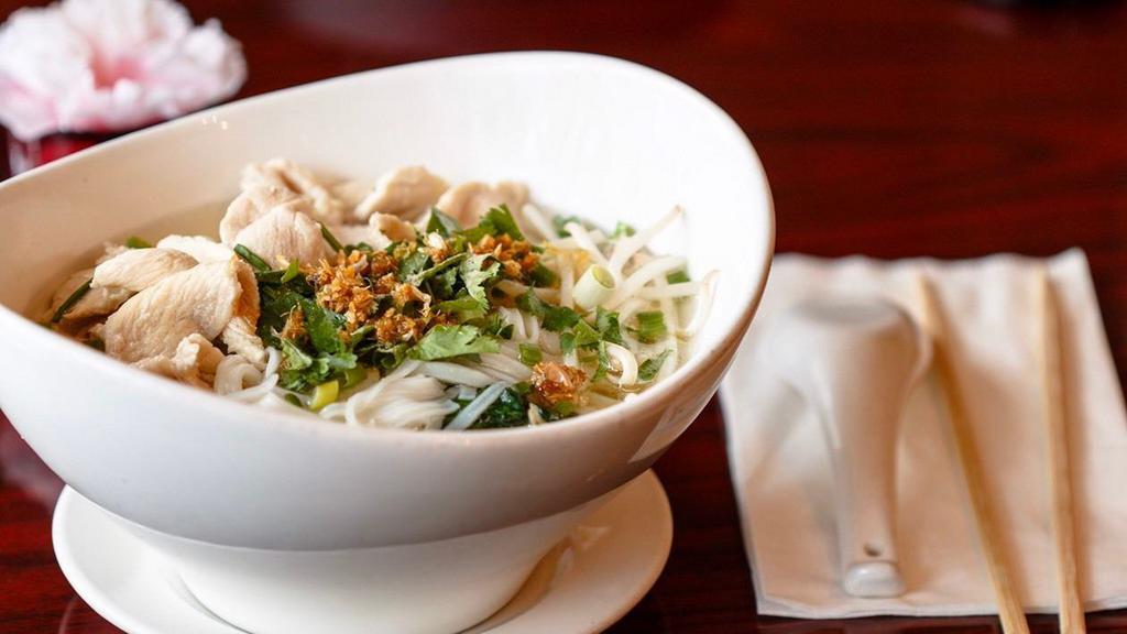 House Noodle Soup · Rice noodle with bean sprouts, spinach, cilantro, scallions and garlic.