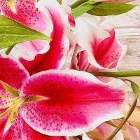 Sweet Lily Bouquet · 3 fresh cut stems of stargazer lilies (3-4 blooms per stem total about a dozen lilies) , bea...