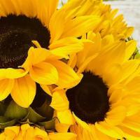 Sunny Sunflowers Bouquet · Comes with 8 Large fresh cut sunflowers beautifully decorated with a colorful butterfly, and...