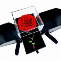Preserved Rose In A Black Box With Gold Rose Necklace · Forever Monroe's Long lasting Rose in a Luxury Black Box with a Gold Rose Necklace.

Sorry, ...